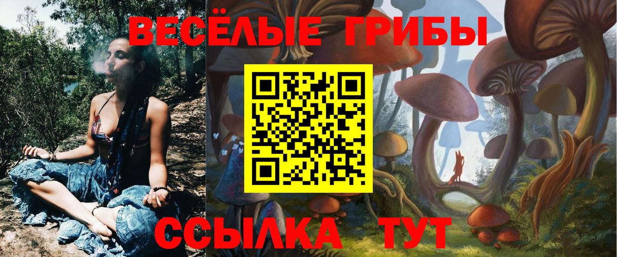 Галлюциногенные грибы GOLDEN TEACHER Ливны