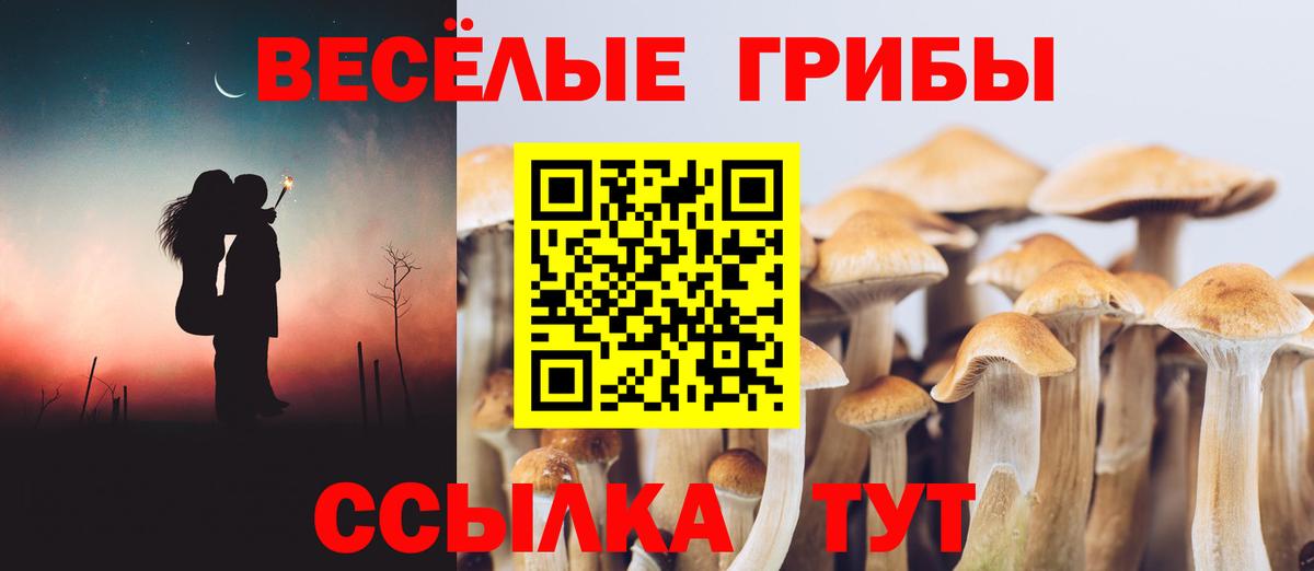 Ливны  Псилоцибиновые грибы MAGIC MUSHROOMS  даркнет сайт  Псилоцибиновые грибы Psilocybe  Вход с VPN 